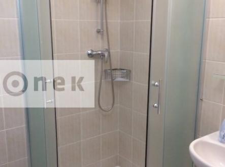 Pronájem bytu, 2+1, 60 m²