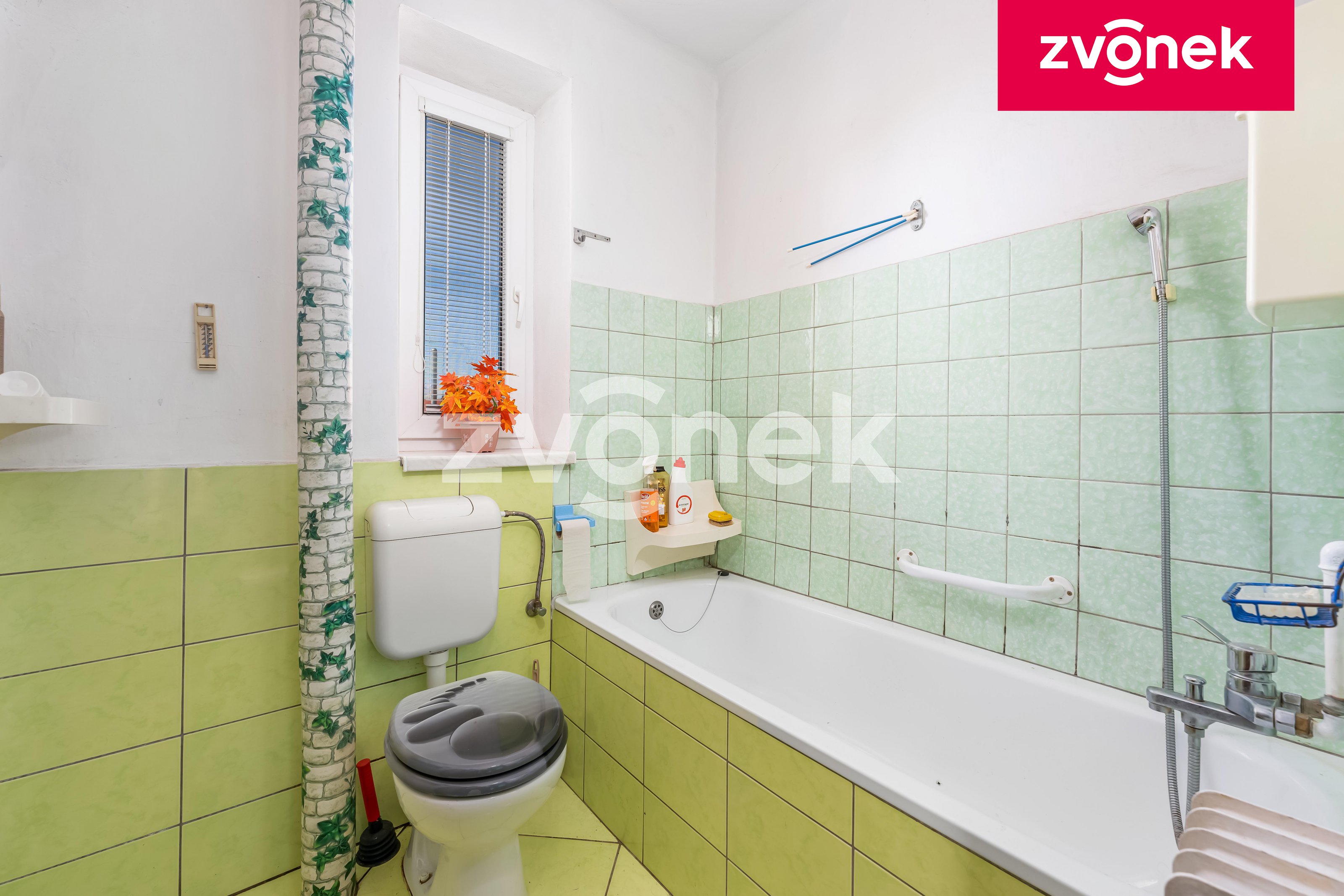 Obrázek k zakázce č.: 731491