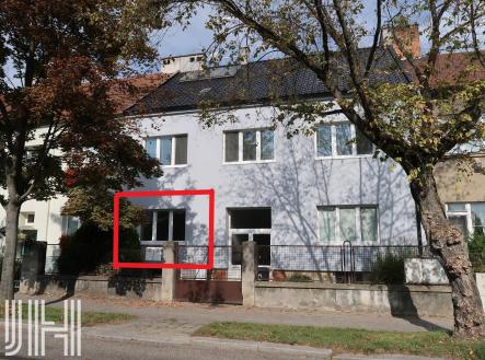 Pronájem bytu, 1+1, 48 m²