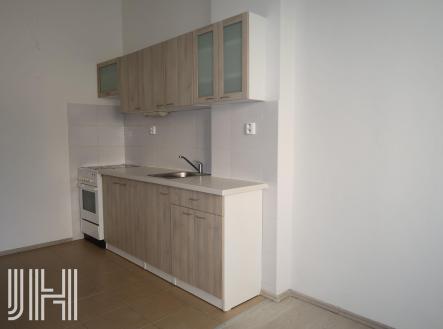 Pronájem bytu, 1+1, 48 m²