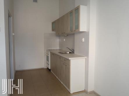 Pronájem bytu, 1+1, 48 m²