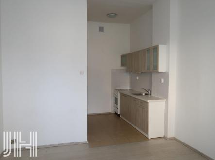 Pronájem bytu, 1+1, 48 m²