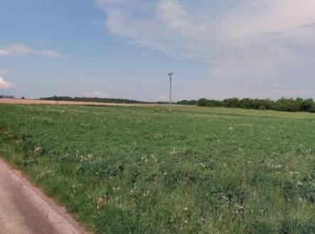Prodej - pozemek pro bydlení, 6 061 m²