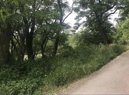 Prodej pozemku pro bydlení, 2 500 m²