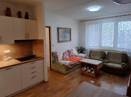 Prodej bytu, 2+kk, 45 m²