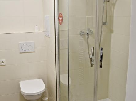 Pronájem bytu, 1+kk, 33 m²