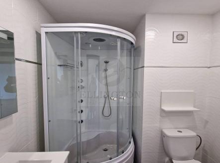 Pronájem bytu, 2+1, 51 m²