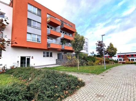 Pronájem bytu, 2+kk, 59 m²