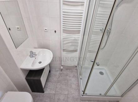 Pronájem bytu, 1+kk, 35 m²