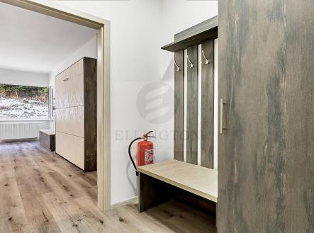 Pronájem bytu, 1+kk, 27 m²