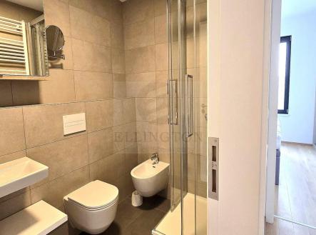 Pronájem bytu, 2+kk, 59 m²