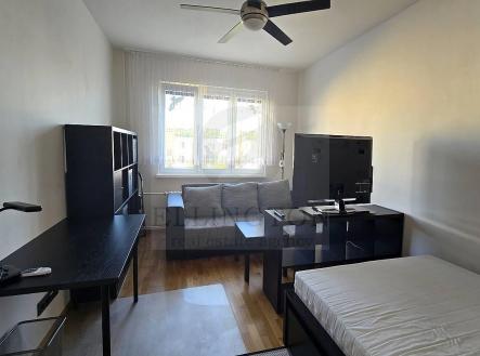 Pronájem bytu, 1+1, 36 m²