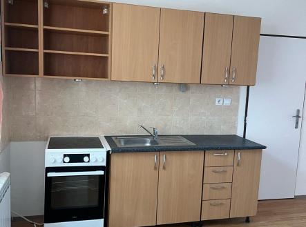 Pronájem bytu, 1+kk, 55 m²