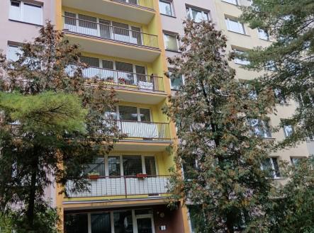 Prodej bytu, 1+kk, 27 m²