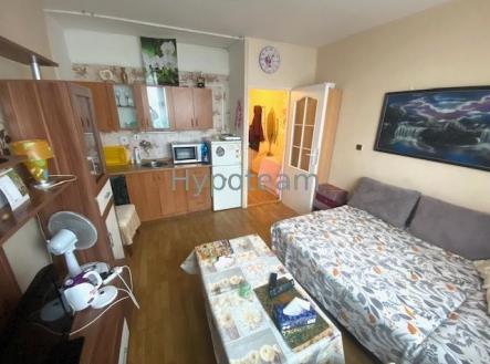 Pronájem bytu, garsoniéra, 19 m²