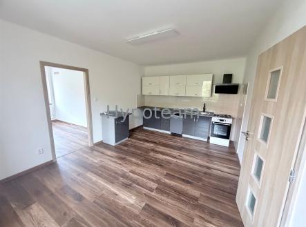 Pronájem bytu, 2+kk, 48 m²