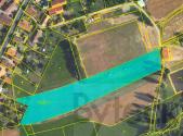 Prodej pozemku, trvalý travní porost, 8 080 m²