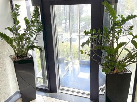 Pronájem kanceláře, 20 m²