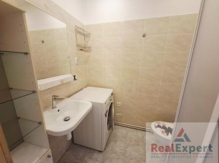 Pronájem bytu, 1+1, 403 m²