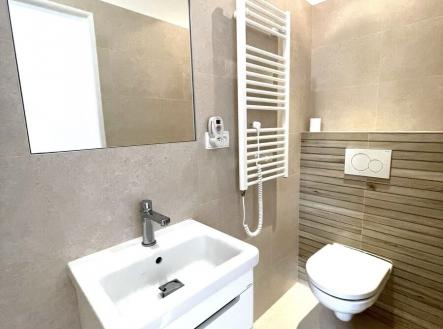 Pronájem bytu, 1+kk, 26 m²
