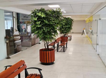 Pronájem komerčního objektu, obchodní centrum, 75 m²