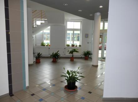 Pronájem kanceláře, 318 m²