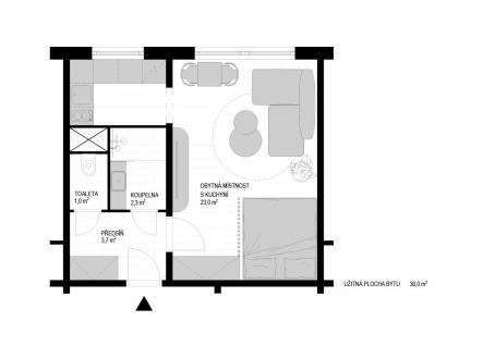 Prodej bytu, 1+kk, 30 m²
