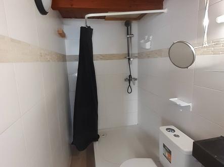 Pronájem bytu, 1+kk, 28 m²