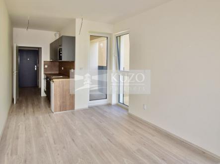 Pronájem bytu, 1+kk, 34 m²