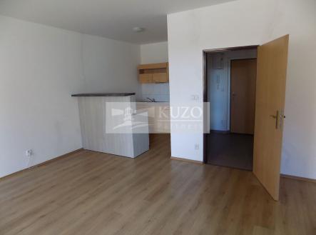 Pronájem bytu, 1+kk, 48 m²