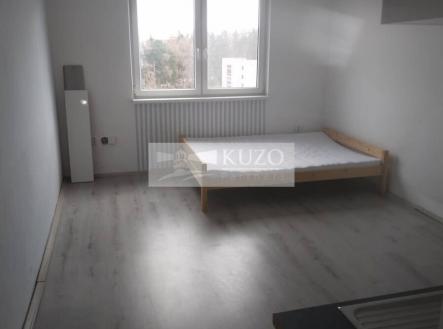 Prodej bytu, 1+kk, 25 m²