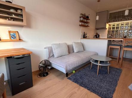 Pronájem bytu, 1+kk, 29 m²