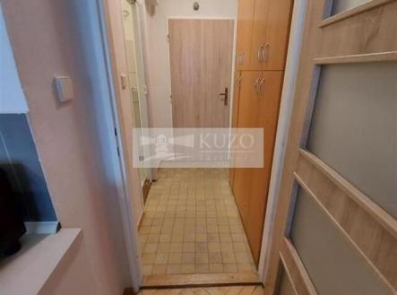 Pronájem bytu, 1+kk, 25 m²