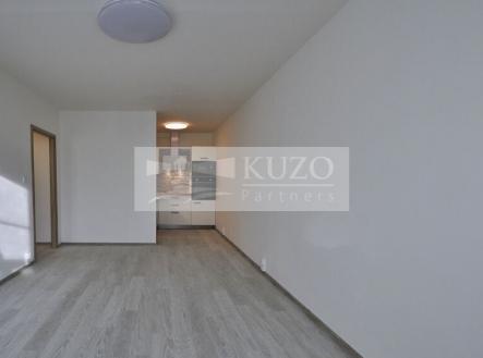 Pronájem bytu, 2+kk, 43 m²