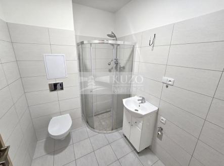 Pronájem bytu, 2+kk, 45 m²