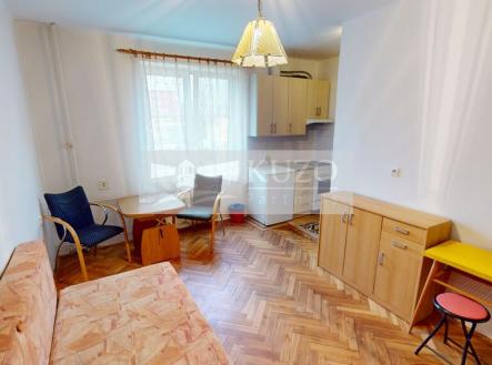 Pronájem bytu, 1+kk, 24 m²