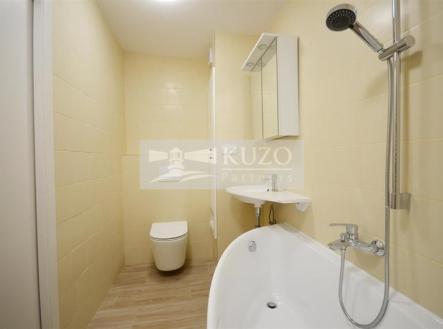 Pronájem bytu, 3+kk, 55 m²