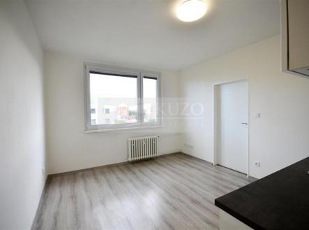 Pronájem bytu, 1+1, 35 m²