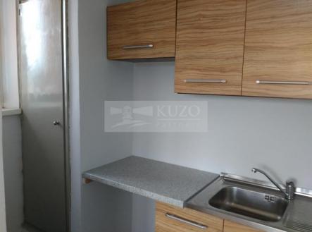 Pronájem bytu, 1+kk, 24 m²