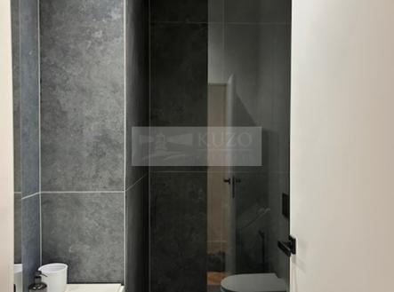 Prodej bytu, 2+kk, 49 m²