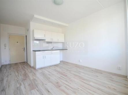 Prodej bytu, 1+kk, 20 m²