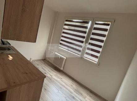 Pronájem bytu, 1+1, 42 m²