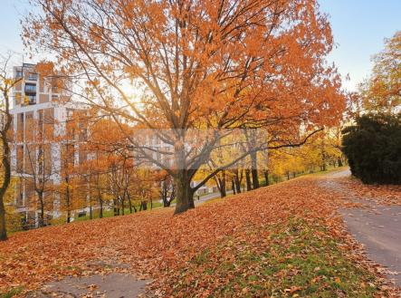 Pronájem bytu, 2+kk, 62 m²