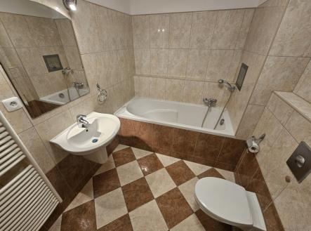 Pronájem bytu, 1+kk, 41 m²