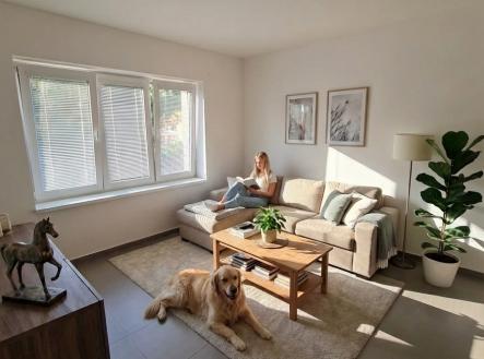 Prodej bytu, 2+kk, 48 m²