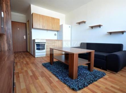 Pronájem bytu, 1+kk, 22 m²
