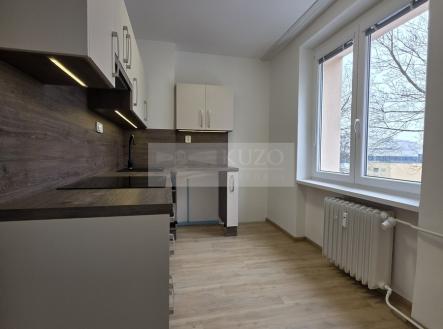 Pronájem bytu, 2+1, 51 m²