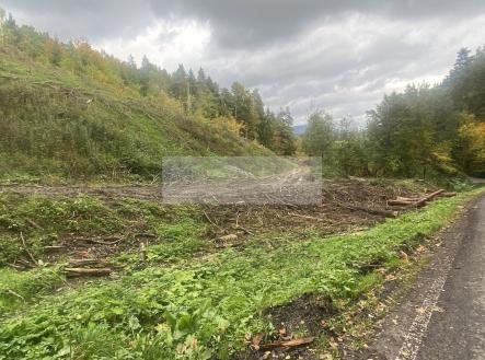 Prodej pozemku, les, 17 012 m²