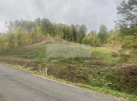 Prodej pozemku, les, 17 012 m²