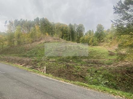 Prodej pozemku, les, 17 012 m²